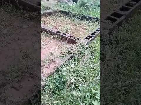 Half Plot of Land for Sale at Ejigbo, Lagos
