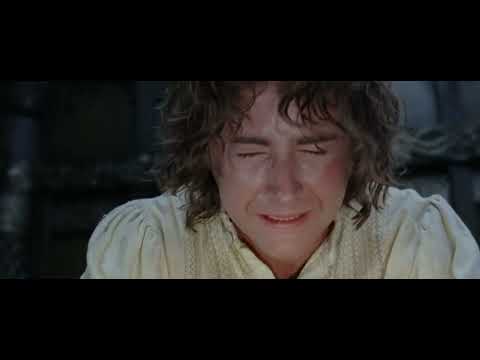 LOTR  The Return of the King Pippin  sees inside the Palantir
