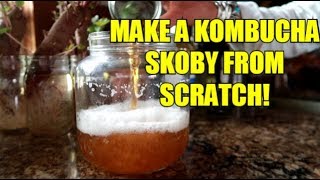 HOW TO MAKE YOUR OWN KOMBUCHA SCOBY! EASY