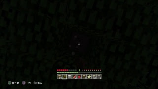 マイクラギルド[homez]