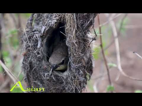 Beautiful Nature For Health, Reduce Stress 🍀