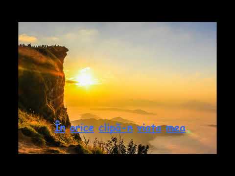 În orice clipă-n viața mea -  Iosif Câmpean  LIVE