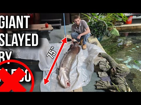 THE WORST THING THAT HAS HAPPENED TO OFR