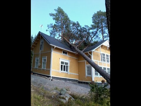 Metsolan Metsäkoulu 93. Myrskytuhopuiden korjuun  perusteita