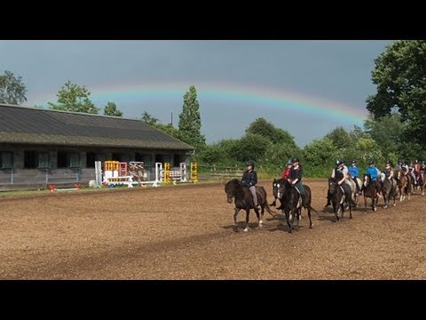 Video 16 aus  Ferienhof Thomsen