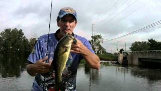 preview picture of video 'MILLSBORO POND DELAWARE BASS FISHING'