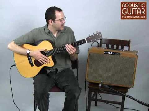 Ultrasound Dean Markley Pro-250 Tri-Amped Acoustic 2000er - Light Brown Tolex image 5