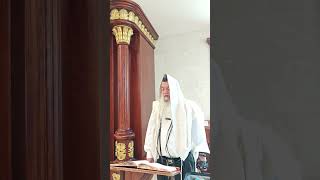 הלכה יומית עם מורנו הגדול (הרב יגאל כהן) - התמונה מוצגת ישירות מתוך אתר האינטרנט יוטיוב. זכויות היוצרים בתמונה שייכות ליוצרה. קישור קרדיט למקור התוכן נמצא בתוך דף הסרטון