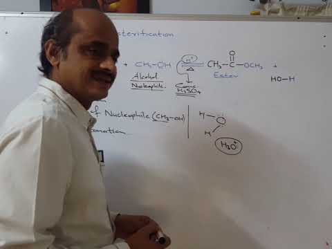 059e) 20a)Fischer's Esterification