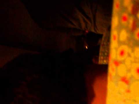 Sfeer in de bus (terugreis)