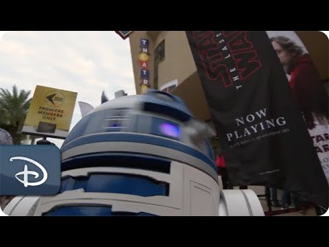 'Star Wars: The Last Jedi' Meet-Up | Walt Disney World
