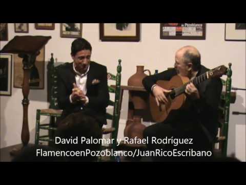 DAVID PALOMAR Y RAFAEL RODRIGUEZ / SEGUIRIYAS