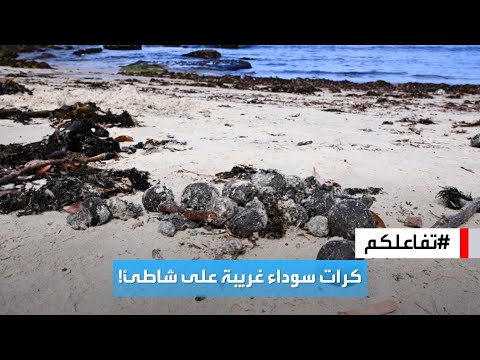 فيديو | تفاعلكم | إغلاق شاطئين في سيدني بسبب كرات سوداء غريبة مجهولة المصدر
