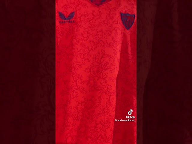 Vídeo relacionado con Castore Sevilla FC 24/25 Pro Players Training Half Zip Sweatshirt XL