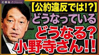 自民党小野寺税調会長、公約違反ではありませんか？社会保障国民会議、どうなっている？　近藤倫子チャンネル