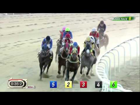 DWCC 2017 - Main Stay & Seoul Bullet - Busan, December 11, 2016