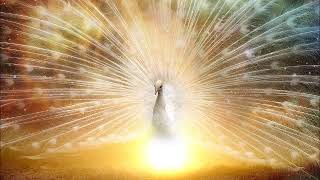 Joy Denalane - Alles Leuchtet