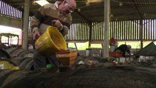 Britischer Apfelwein Cider: Vom Landei zum Kultgetränk