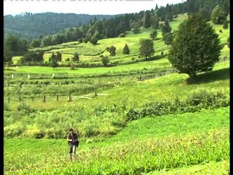 Film de prezentare din Valea Ghimes