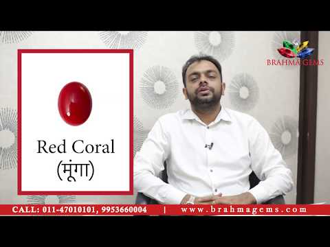 Everything About Red Coral | Important facts