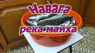 Зимняя рыбалка 2019 года в приморском крае
