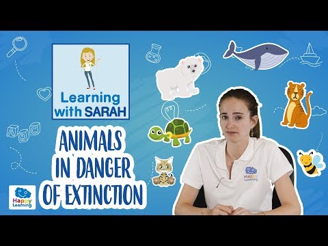 Edangered and Extinct Animals