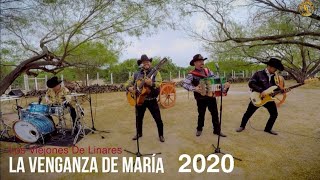 La Venganza de María Los Viejones de Linares