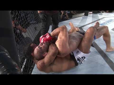 Tamyrai Lacerda x Jean Silva