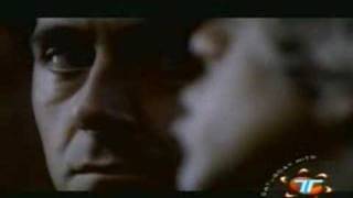 De la noche ala mañana - elefantes