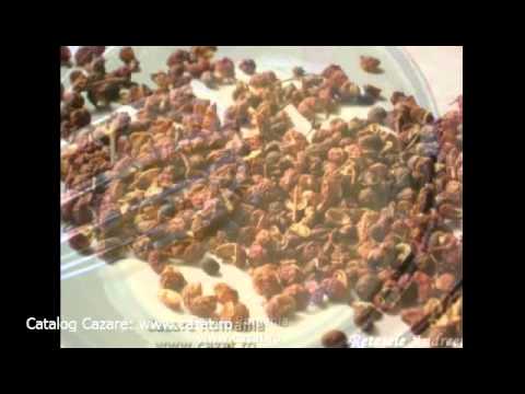 Cazare Podu Pitarului, Calarasi - Cazat.ro