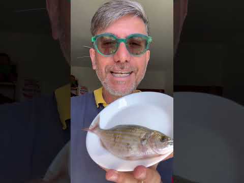 Beware of the salpa #danielepaci #agronomist #salpa #fish #fishing #toxic