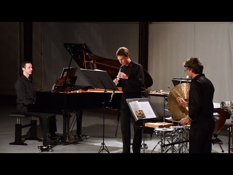 Peter Ivan Edwards (*1973): ionobia (2016/17); Trio SurPlus