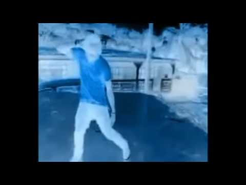 Shakalewa nouveau 2016