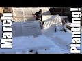 March Planting Potatoes Peas Carrots Turnips Lettuce Basil Zone 5