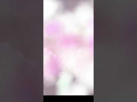 💎 Diamond Diaries Saga • level 589💀 • no boosters