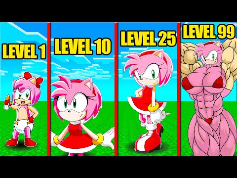 AMY ROSE SEVİYELERİ - 😨 Minecraft maksi