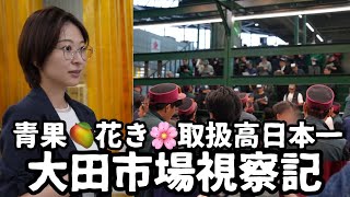 【都議会視察】日本一広い大田市場の視察に行ってきました。【中央卸売市場】