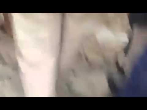 Ethiopia zare be miyaziya 11 libya letardut(3)