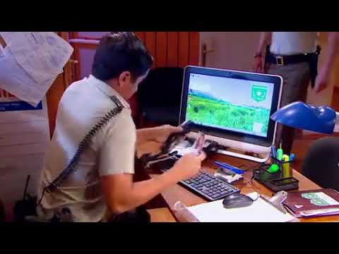 pobre gallo capitulo 55