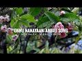 Onnu Nanayan Ambili Film Song A Nostalgic Music Cover WhatsApp Status