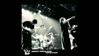 Darwin's Waiting Room - Inside