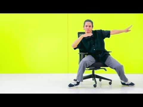 Fabric featherlite amaze high back executive chair, adjustab...