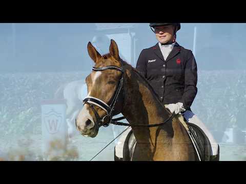 23 Bellucci Wallach v. Benicio - Laurentianer