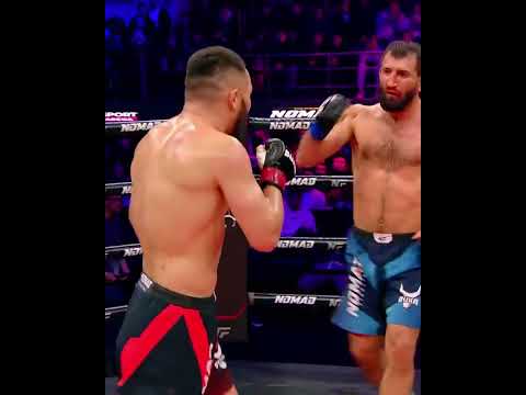 Российский“Черный тигр” и Казахский Арлан-ужасный нокаут