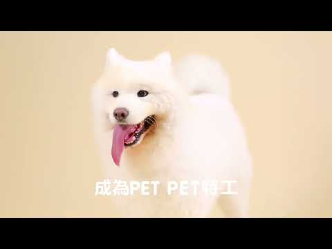 PET-A-HOOD: Your Pet Community