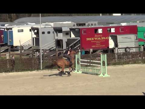 El Charro m20 Oefenjumping Vanderhasselt 9/03/14