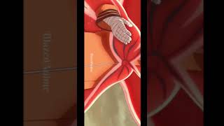 Download lagu Yare Yare 😵💫 😮💨 #anime #blazedanime #naruto #shorts #gambare mp3 Download lagu Yare Yare 😵💫 😮💨 #anime #blazedanime #naruto #shorts #gambare mp3