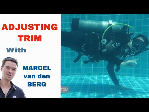 PADI Swimming Over a Sensitive Bottom IDC Divemaster Skill Circuit
