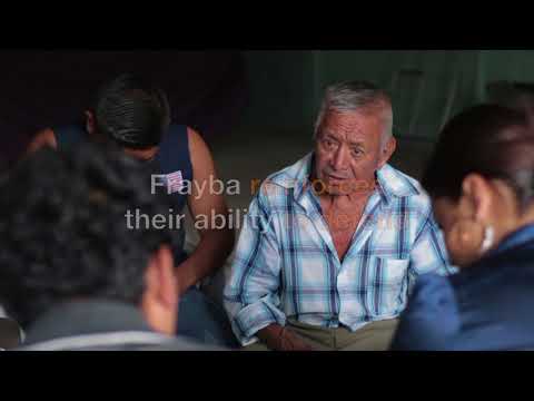 Protect land rights and lives of Mayan communities