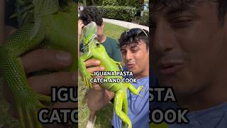 IGUANA PASTA CATCH AND COOK